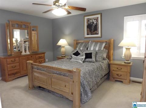 22252 Sandra Ln, Mc Calla, AL 35111 photo 10