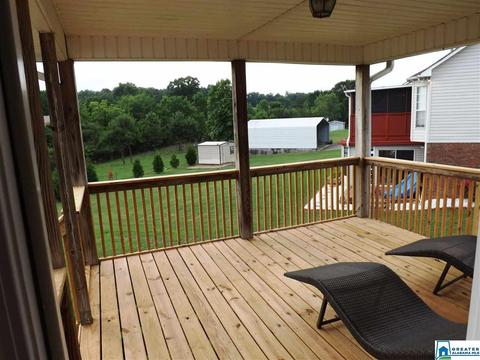 22252 Sandra Ln, Mc Calla, AL 35111 photo 21