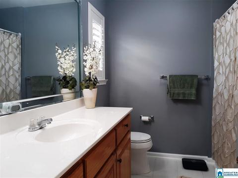 22252 Sandra Ln, Mc Calla, AL 35111 photo 13