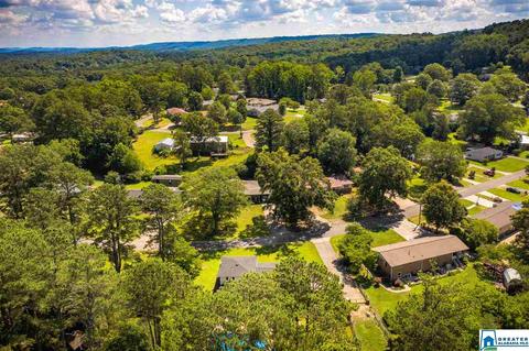 11 Pine Cir, Oneonta, AL 35121 photo 43