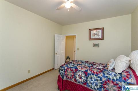 80 Lawrence Dr, Springville, AL 35146 photo 21