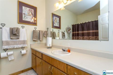80 Lawrence Dr, Springville, AL 35146 photo 18
