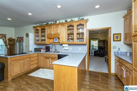 80 Lawrence Dr, Springville, AL 35146 photo 15