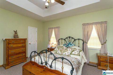 80 Lawrence Dr, Springville, AL 35146 photo 23