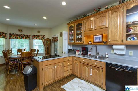 80 Lawrence Dr, Springville, AL 35146 photo 13