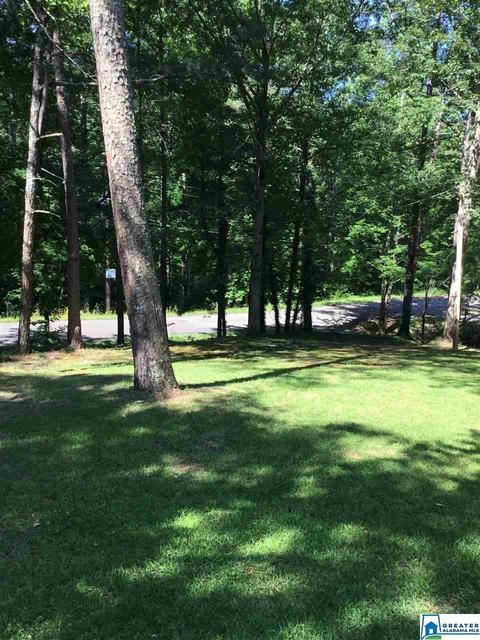 155 Echo Trl, Warrior, AL 35180 photo 3