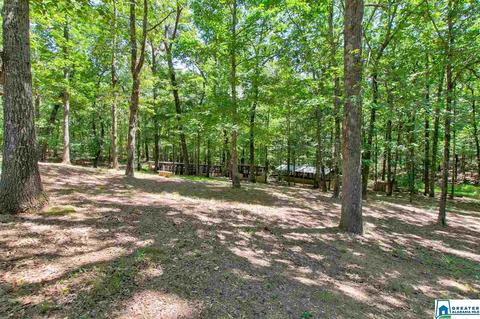 218 Pike Rd, Remlap, AL 35133 photo 24