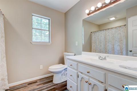 218 Pike Rd, Remlap, AL 35133 photo 16