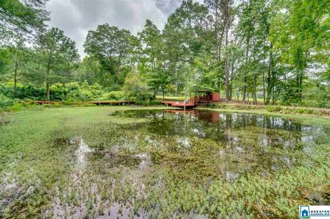 2995 Co Rd 77, Clanton, AL 35045 photo 47