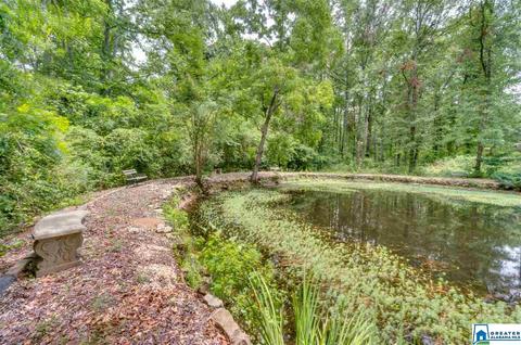 2995 Co Rd 77, Clanton, AL 35045 photo 45