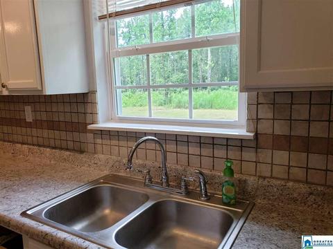 258 Pine Mountain Rd, Remlap, AL 35133 photo 13