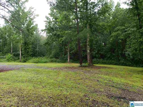 258 Pine Mountain Rd, Remlap, AL 35133 photo 40