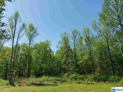 258 Pine Mountain Rd, Remlap, AL 35133 photo 44