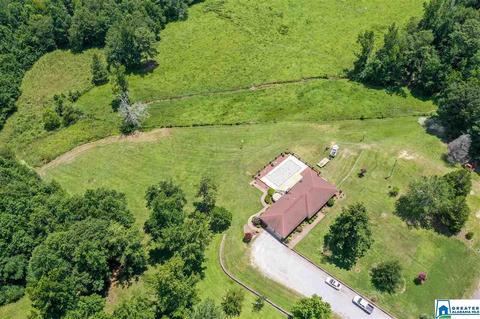 2235 County Road 7, Clanton, AL 35045 photo 28