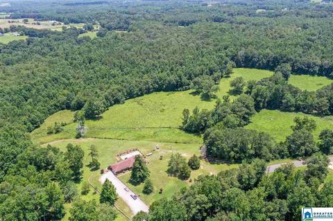 2235 County Road 7, Clanton, AL 35045 photo 30