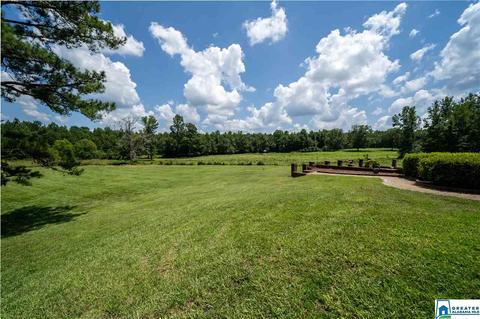 2235 County Road 7, Clanton, AL 35045 photo 11