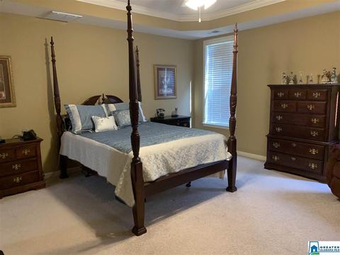 104 Chinaberry Ln, Maylene, AL 35114 photo 14