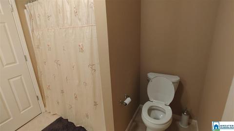 104 Chinaberry Ln, Maylene, AL 35114 photo 21