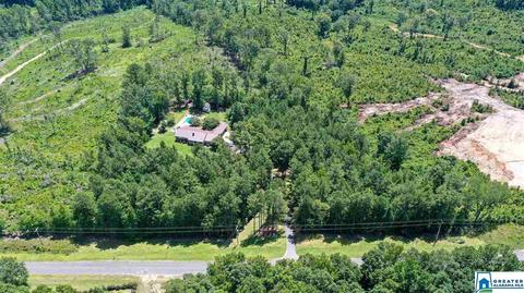 1214 County Road 76, Clanton, AL 35045 photo 39
