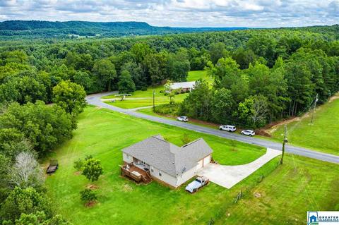 2000 Ebell Rd, Oneonta, AL 35121 photo 37