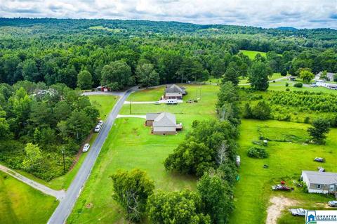 2000 Ebell Rd, Oneonta, AL 35121 photo 40