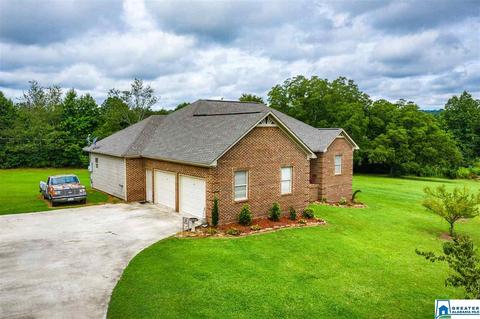 2000 Ebell Rd, Oneonta, AL 35121 photo 34