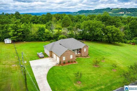 2000 Ebell Rd, Oneonta, AL 35121 photo 35