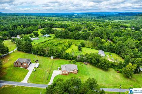 2000 Ebell Rd, Oneonta, AL 35121 photo 43