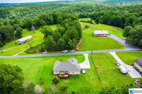 2000 Ebell Rd, Oneonta, AL 35121 photo 38