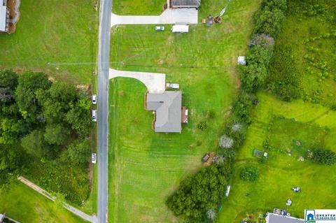 2000 Ebell Rd, Oneonta, AL 35121 photo 45