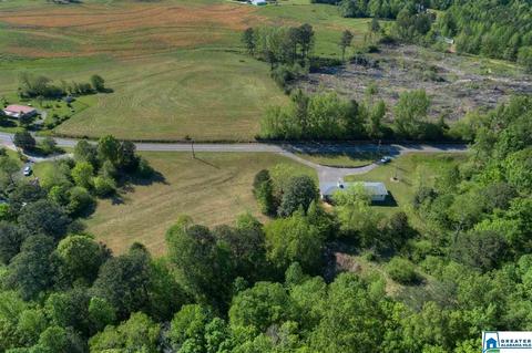 2898 Corner Rd, Warrior, AL 35180 photo 28
