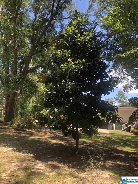 975 Pinedale Rd, Clanton, AL 35045 photo 30