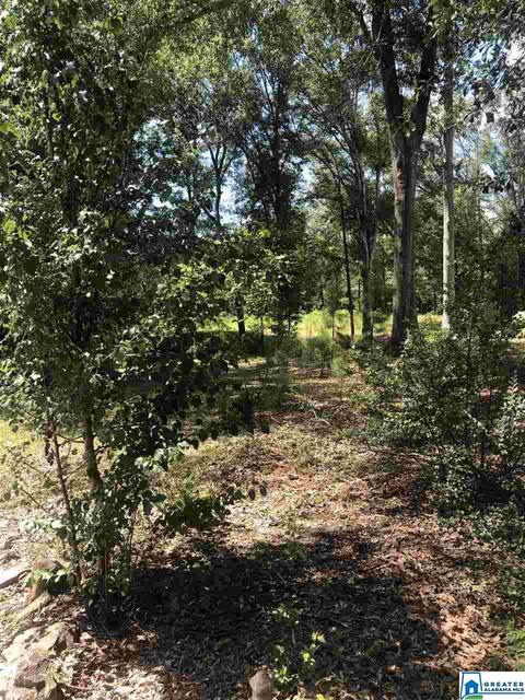975 Pinedale Rd, Clanton, AL 35045 photo 27