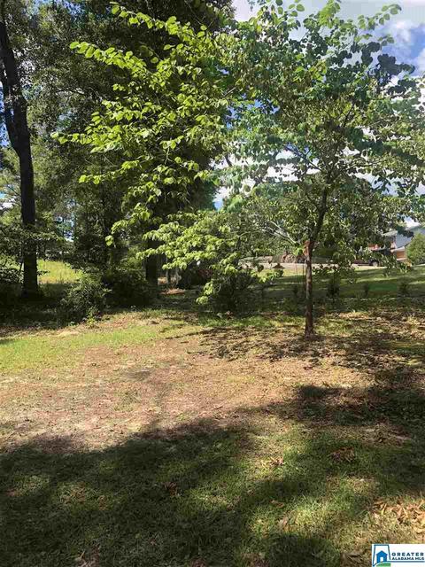 975 Pinedale Rd, Clanton, AL 35045 photo 29