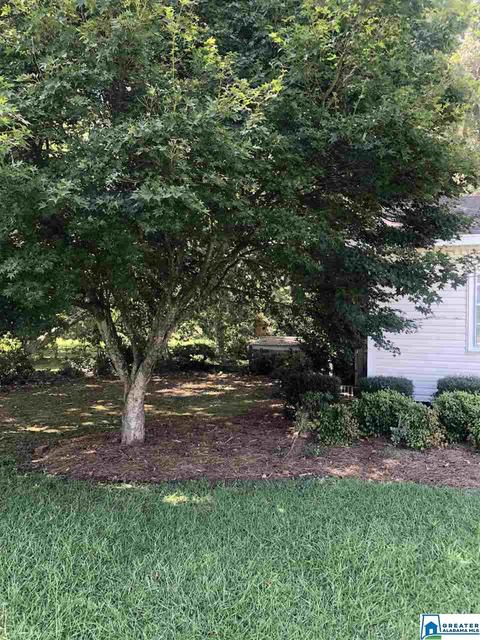 975 Pinedale Rd, Clanton, AL 35045 photo 9