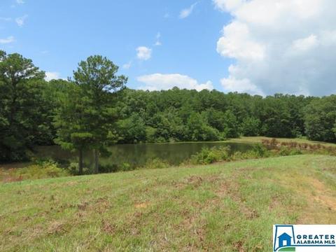 20025 Booler Rd, Vance, AL 35490 photo 39