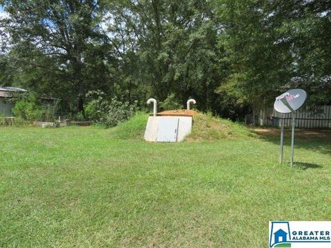 20025 Booler Rd, Vance, AL 35490 photo 31