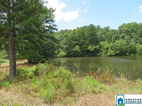 20025 Booler Rd, Vance, AL 35490 photo 40