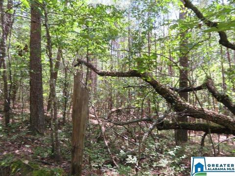 20025 Booler Rd, Vance, AL 35490 photo 47