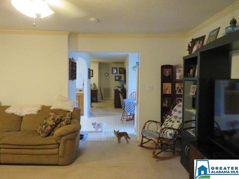 20025 Booler Rd, Vance, AL 35490 photo 28
