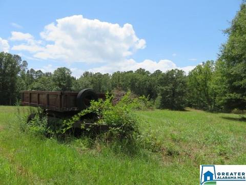 20025 Booler Rd, Vance, AL 35490 photo 44
