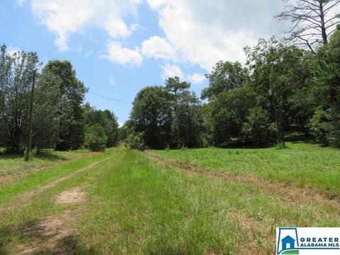 20025 Booler Rd, Vance, AL 35490 photo 34
