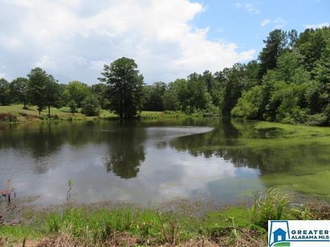 20025 Booler Rd, Vance, AL 35490 photo 45