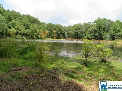 20025 Booler Rd, Vance, AL 35490 photo 42