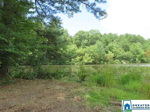 20025 Booler Rd, Vance, AL 35490 photo 43