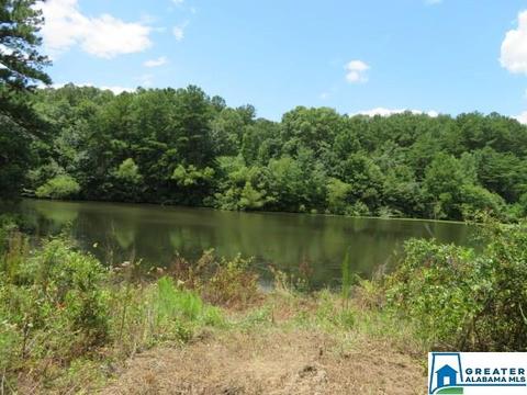 20025 Booler Rd, Vance, AL 35490 photo 41