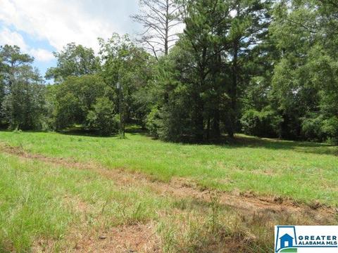 20025 Booler Rd, Vance, AL 35490 photo 33
