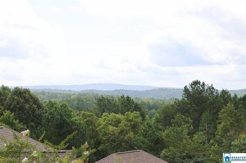 110 Acton Loop, Moody, AL 35004 photo 4