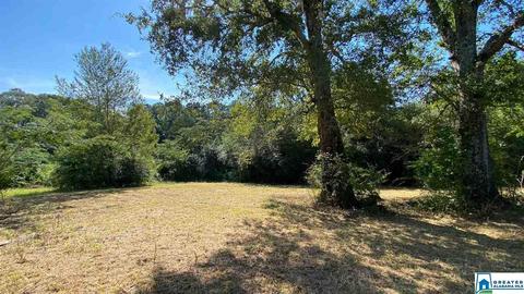 13684 Johns Rd, Vance, AL 35490 photo 8