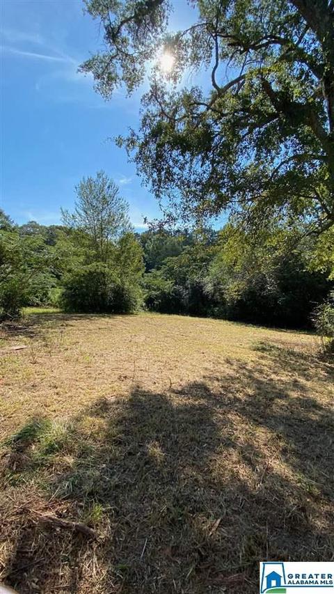 13684 Johns Rd, Vance, AL 35490 photo 10
